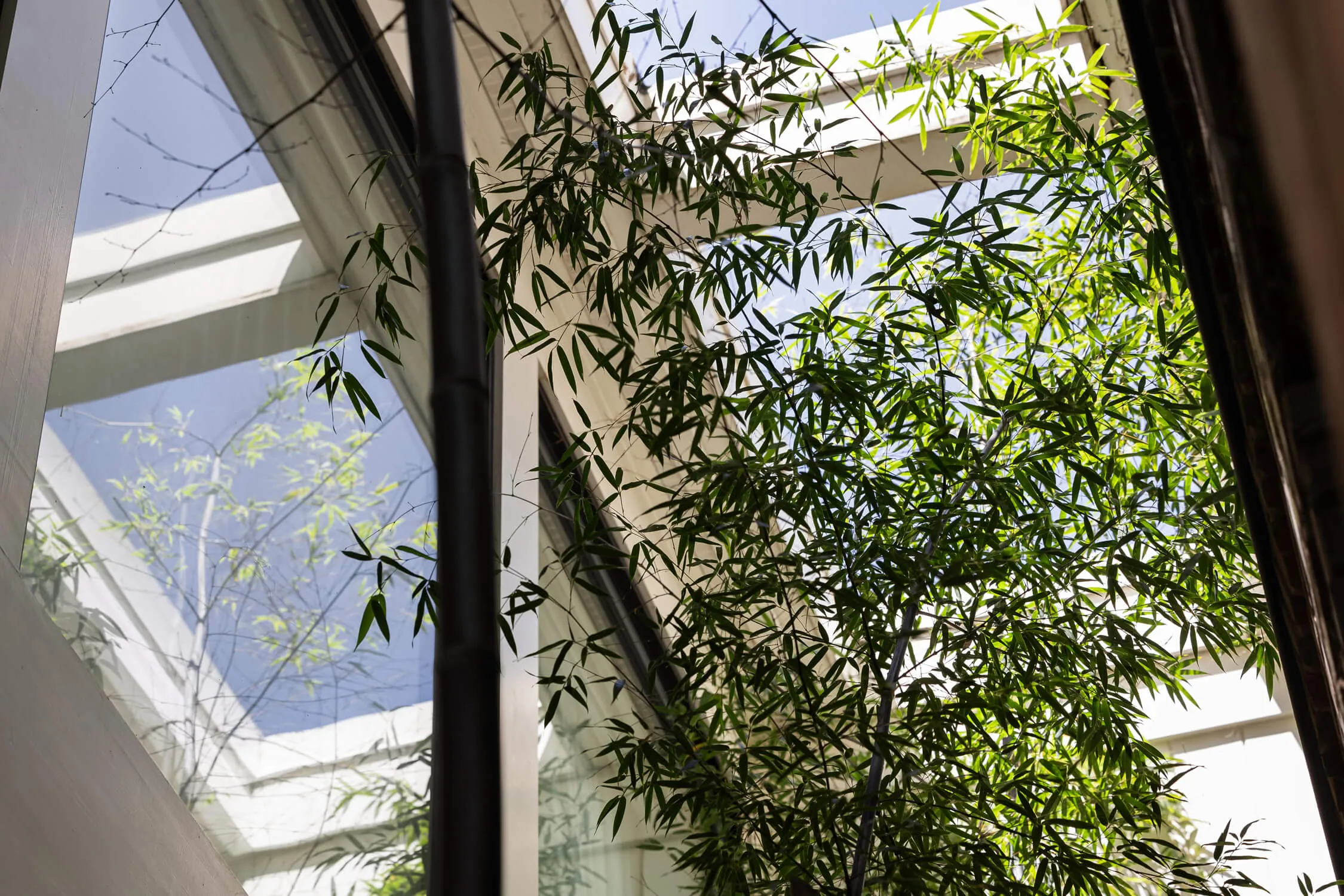 Quiet Rooms — The Ridgewood House